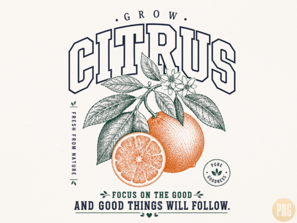 Download Grow Citrus Vintage Botanical PNG - Vintage Collection